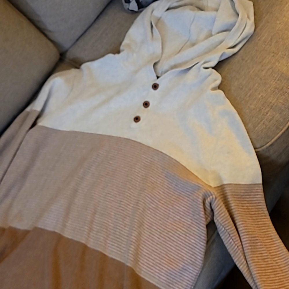 Mens Express Hoody